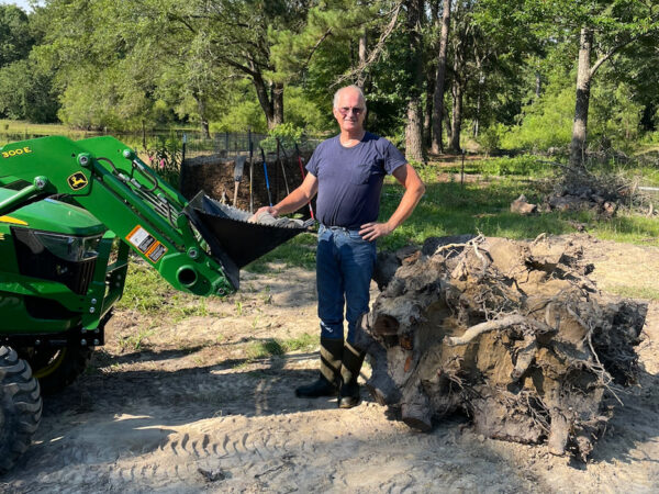 GWT Stump Wrecker Large Stump Removal