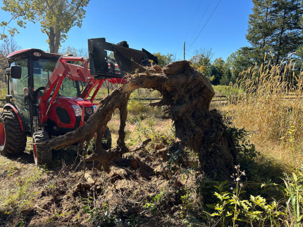 Stump Dug Out With Mini Add-A-Wrecker