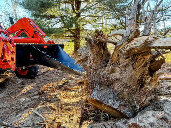 GWT Mega Wrecker Stump Bucket Next to Removed Stump